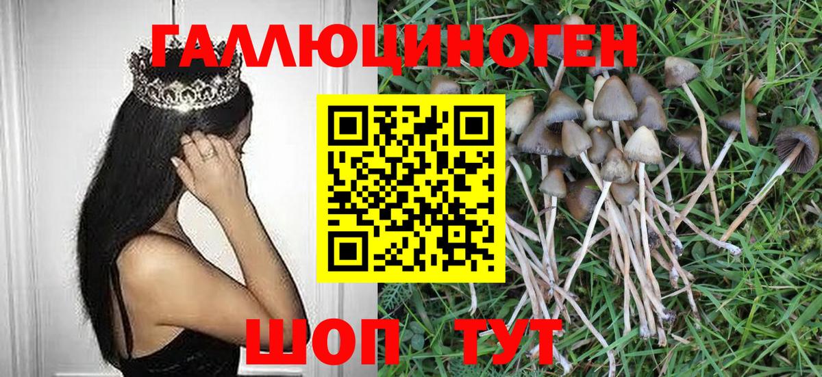 Галлюциногенные грибы Psilocybe  Галлюциногенные грибы Psilocybine cubensis  Малгобек  Вход с VPN 