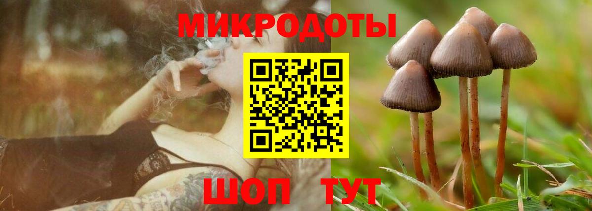 Псилоцибиновые грибы GOLDEN TEACHER Малгобек